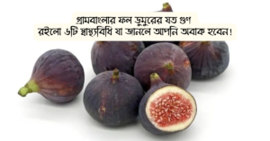 Read more about the article গ্রামবাংলার ফল ডুমুরের যত গুণ: রইলো ৬টি স্বাস্থ্যবিধি যা জানলে আপনি অবাক হবেন!